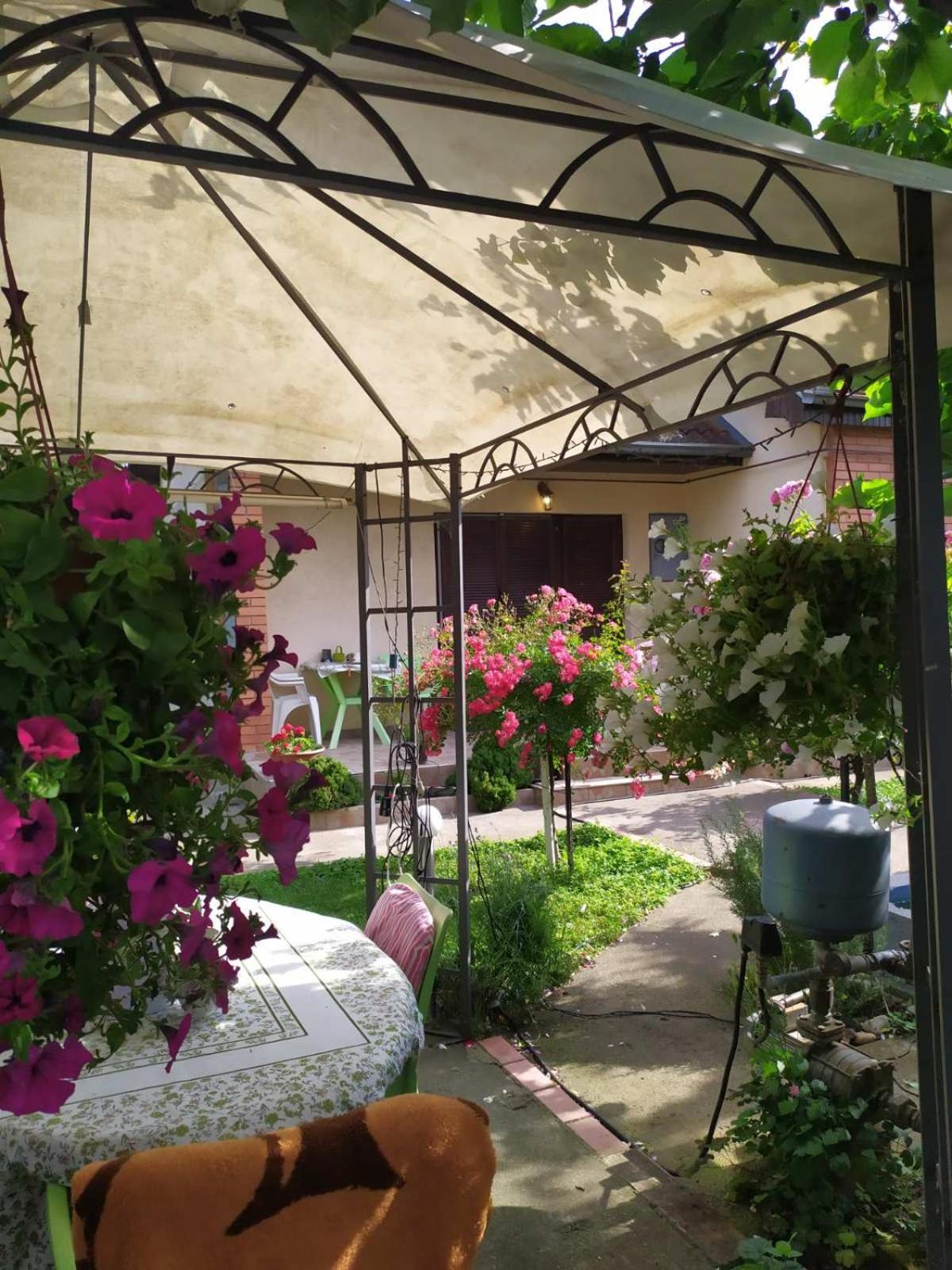 Ljupka Apartment Pancevo
