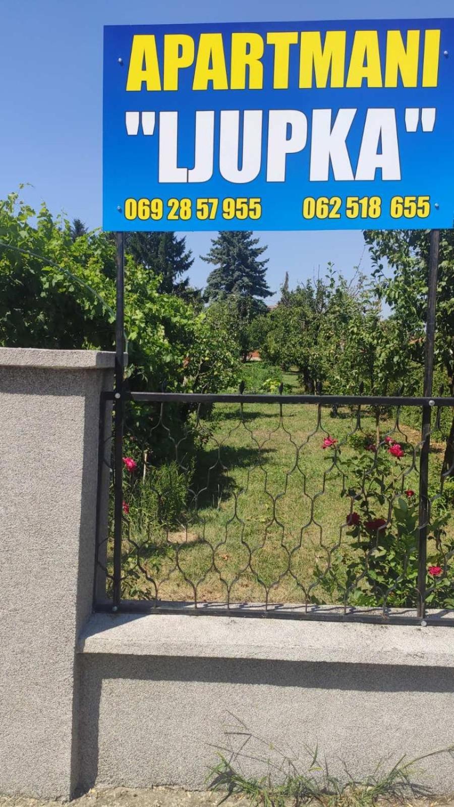 Ljupka Apartment Pancevo