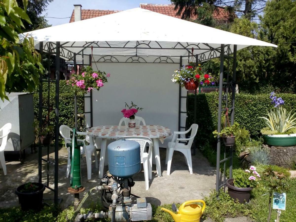 Apartment Ljupka *